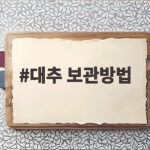 대추 보관방법 냉장 냉동 구분해서 오래 두고 먹는 팁 대추 보관방법