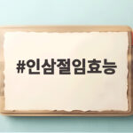 인삼절임효능
