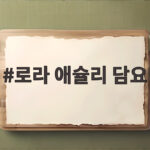 로라 애슐리 담요