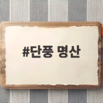 단풍 명산 2026 절정 시기와 추천 코스 한눈에 확인 단풍 명산