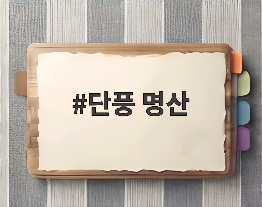 단풍 명산
