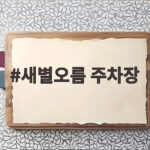 새별오름 주차장