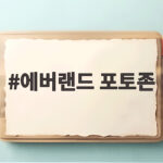 에버랜드 포토존