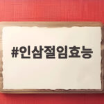 인삼절임효능