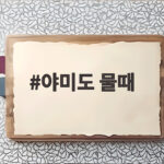 야미도 물때 확인하고 쭈꾸미 낚시 성공하는 법 야미도 물때