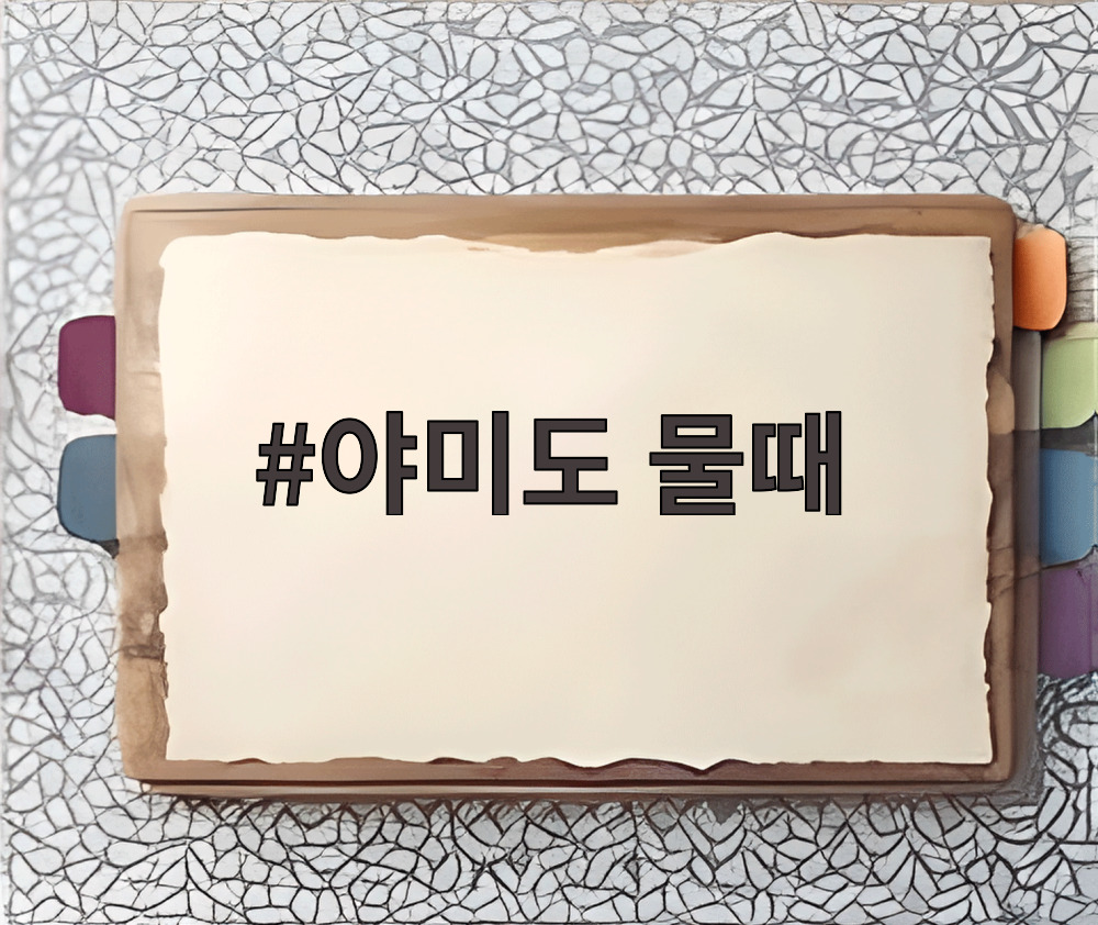 야미도 물때
