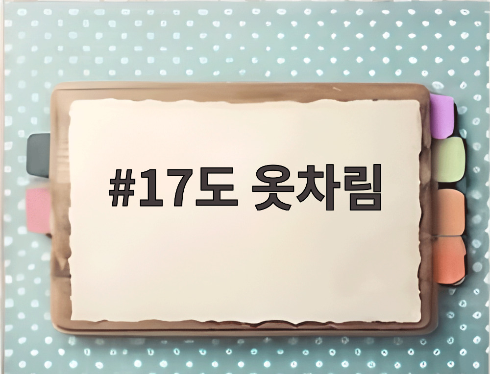 17도 옷차림