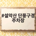 설악산 단풍구경 주차장