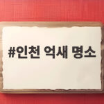 인천 억새 명소 가을 바람 따라 떠나는 하늘정원 나들이 인천 억새 명소