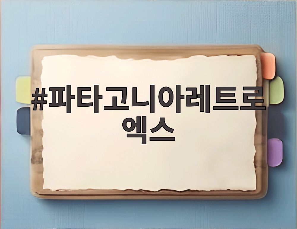 파타고니아레트로엑스