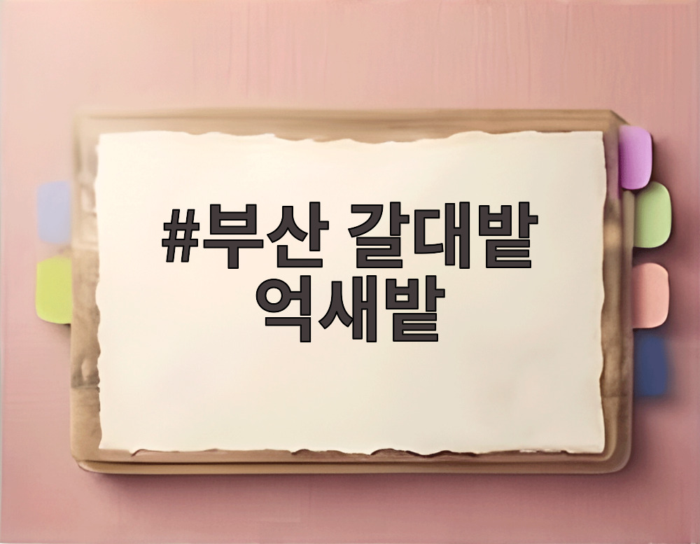 부산 갈대밭 억새밭