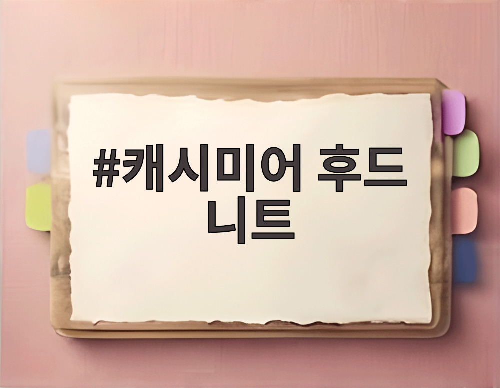 캐시미어 후드 니트