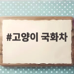 고양이 국화차 마셔도 될까 독성 위험과 안전한 대안 고양이 국화차