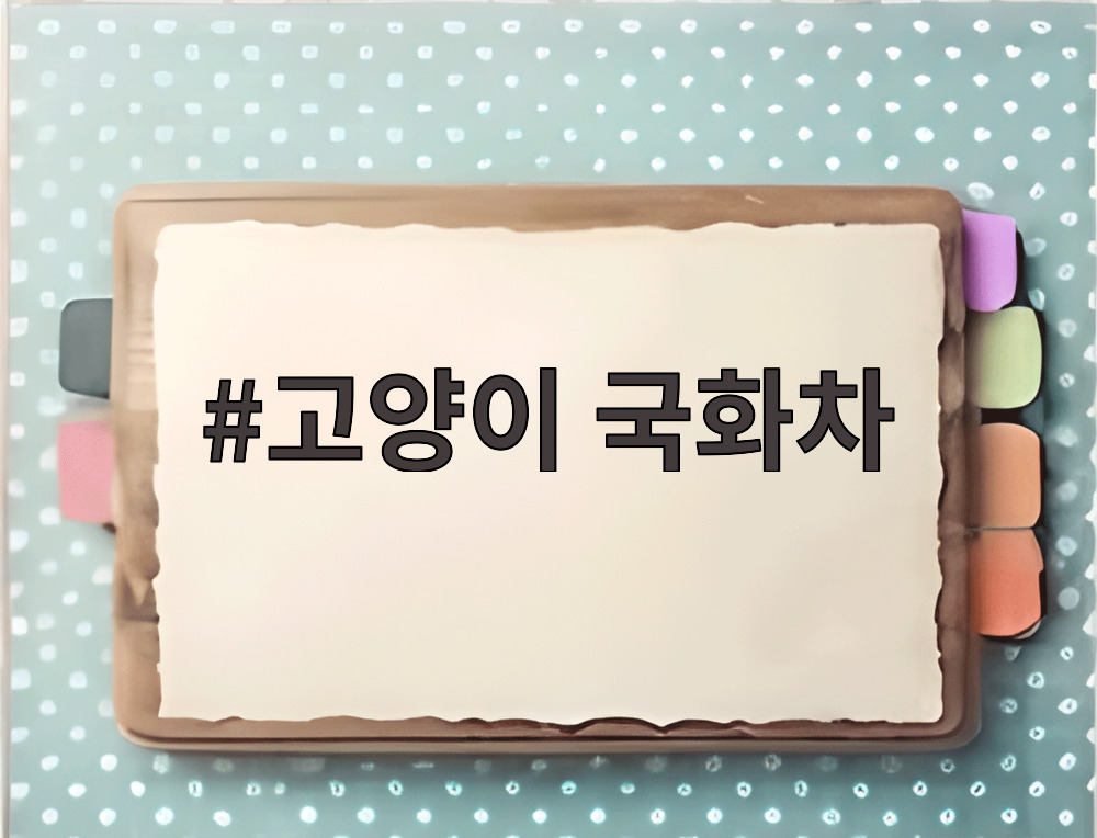 고양이 국화차