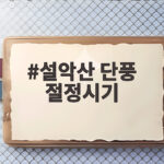 설악산 단풍 절정시기 놓치지 않는 주말 여행 준비 설악산 단풍 절정시기