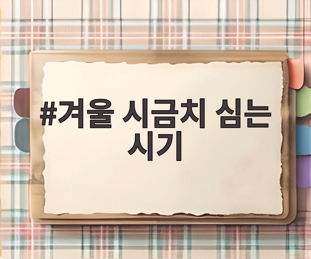 겨울 시금치 심는 시기
