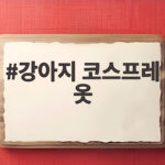 강아지 코스프레 옷