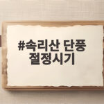 속리산 단풍 절정시기 10월 28일 전후 언제 가야 할까요 속리산 단풍 절정시기
