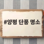 양평 단풍 명소 두물머리와 용문사 가을 나들이 양평 단풍 명소