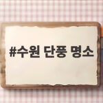 수원 단풍 명소 대중교통으로 가는 가을 산책지 다섯 곳 수원 단풍 명소