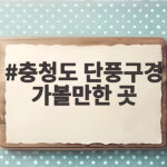 충청도 단풍구경 가볼만한 곳 10월 마지막 주에 떠나기 좋은 이유 충청도 단풍구경 가볼만한 곳