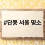 단풍 서울 명소 지금 가면 후회 없는 가을 나들이 단풍 서울 명소