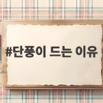 단풍이 드는 이유