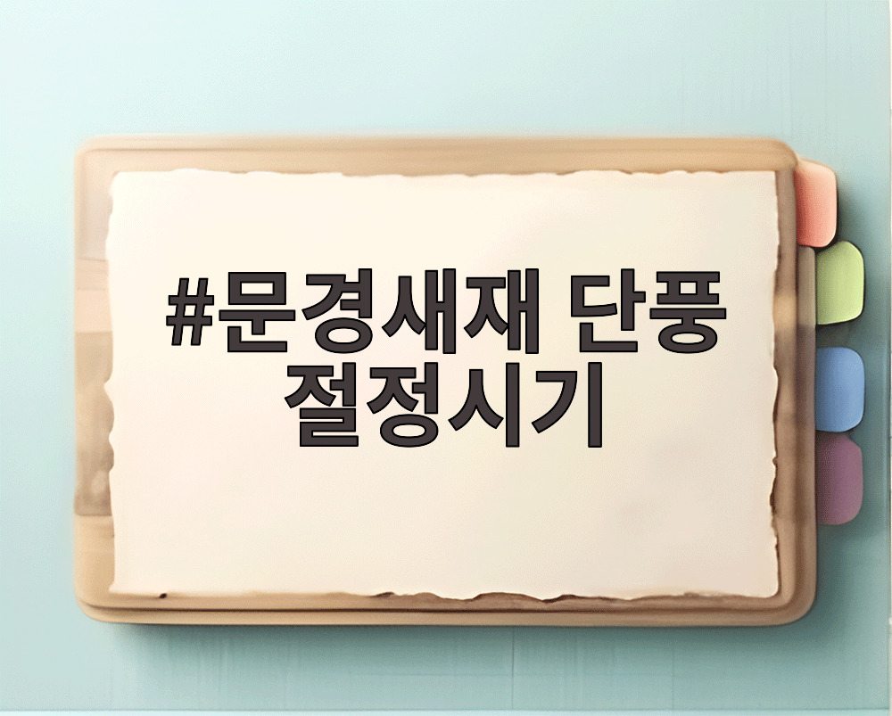 문경새재 단풍 절정시기