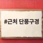 근처 단풍구경 이번 주말에 떠나기 좋은 이유 세 가지 근처 단풍구경