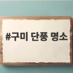 구미 단풍 명소