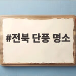 전북 단풍 명소 절정 시기와 주차 정보 한눈에 확인하기 전북 단풍 명소