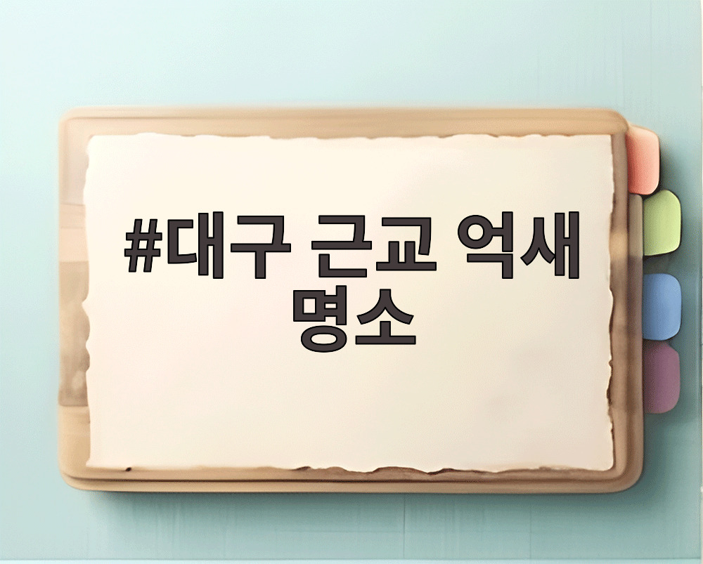 대구 근교 억새 명소