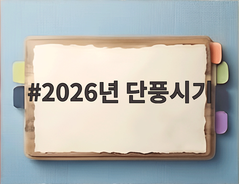 2026년 단풍시기