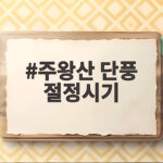 주왕산 단풍 절정시기
