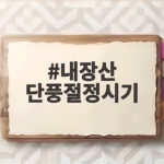 내장산 단풍절정시기