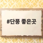 단풍 좋은곳