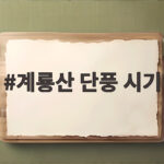 계룡산 단풍 시기