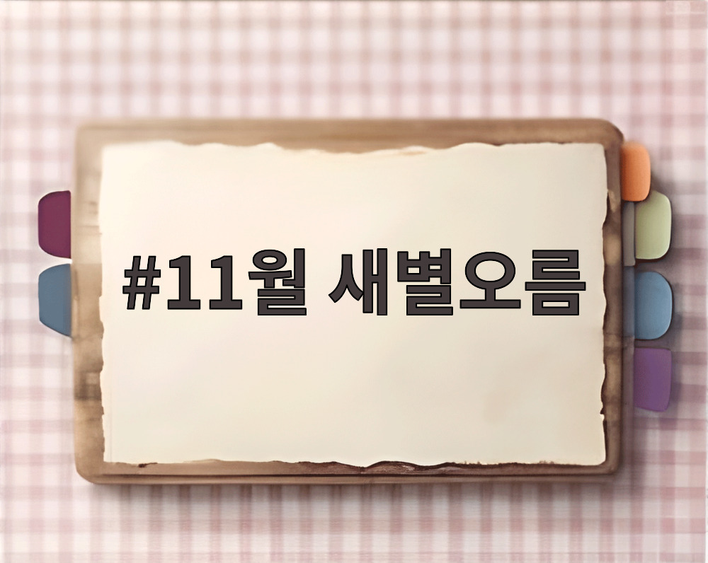 11월 새별오름