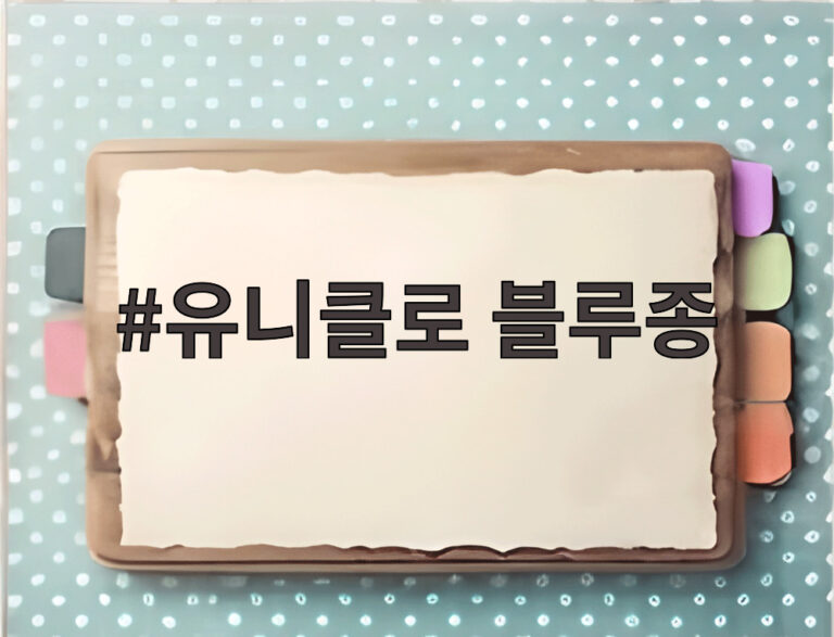 유니클로 블루종