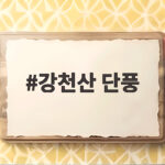 강천산 단풍 절정 시기와 평지 산책 코스 미리 확인하기 강천산 단풍