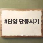 단양 단풍시기 보발재와 구인사 절정이 다른 이유와 순서 팁 단양 단풍시기