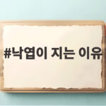 낙엽이 지는 이유