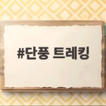 단풍 트레킹