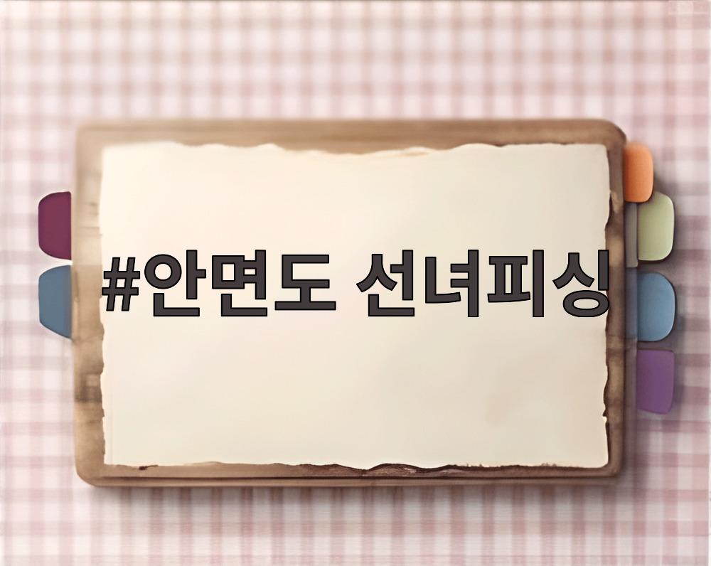 안면도 선녀피싱