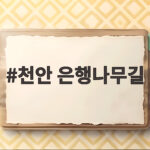 천안 은행나무길