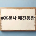 용문사 애견동반