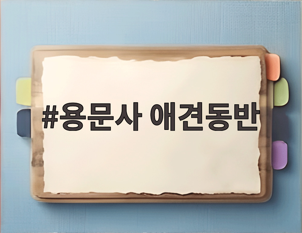 용문사 애견동반