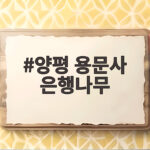양평 용문사 은행나무 절정 시기와 주차 정보 한눈에 확인하기 양평 용문사 은행나무