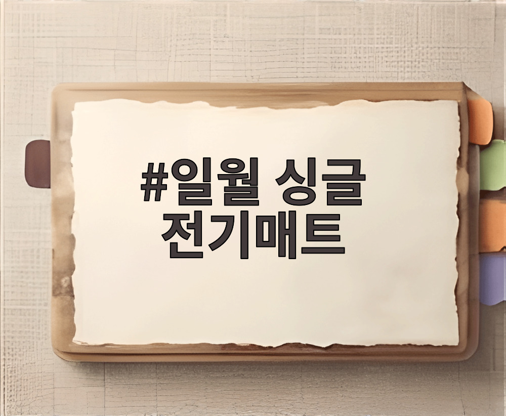 일월 싱글 전기매트