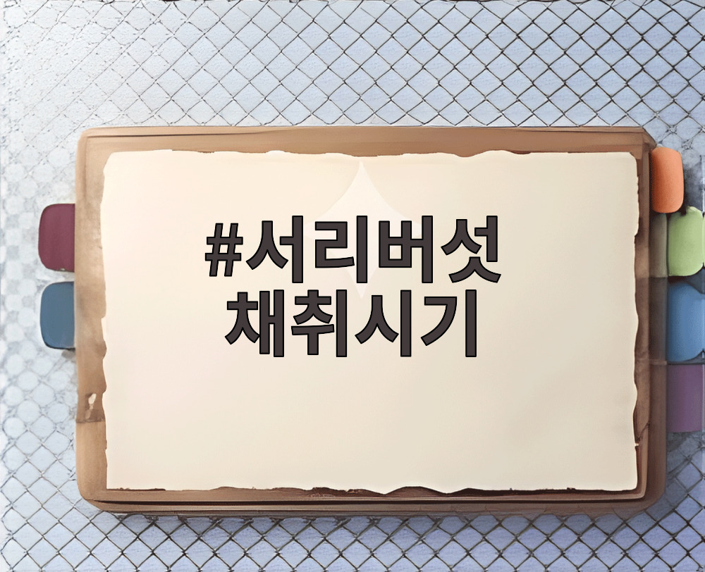 서리버섯 채취시기